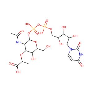 UDP-N-acetylmuramic acid